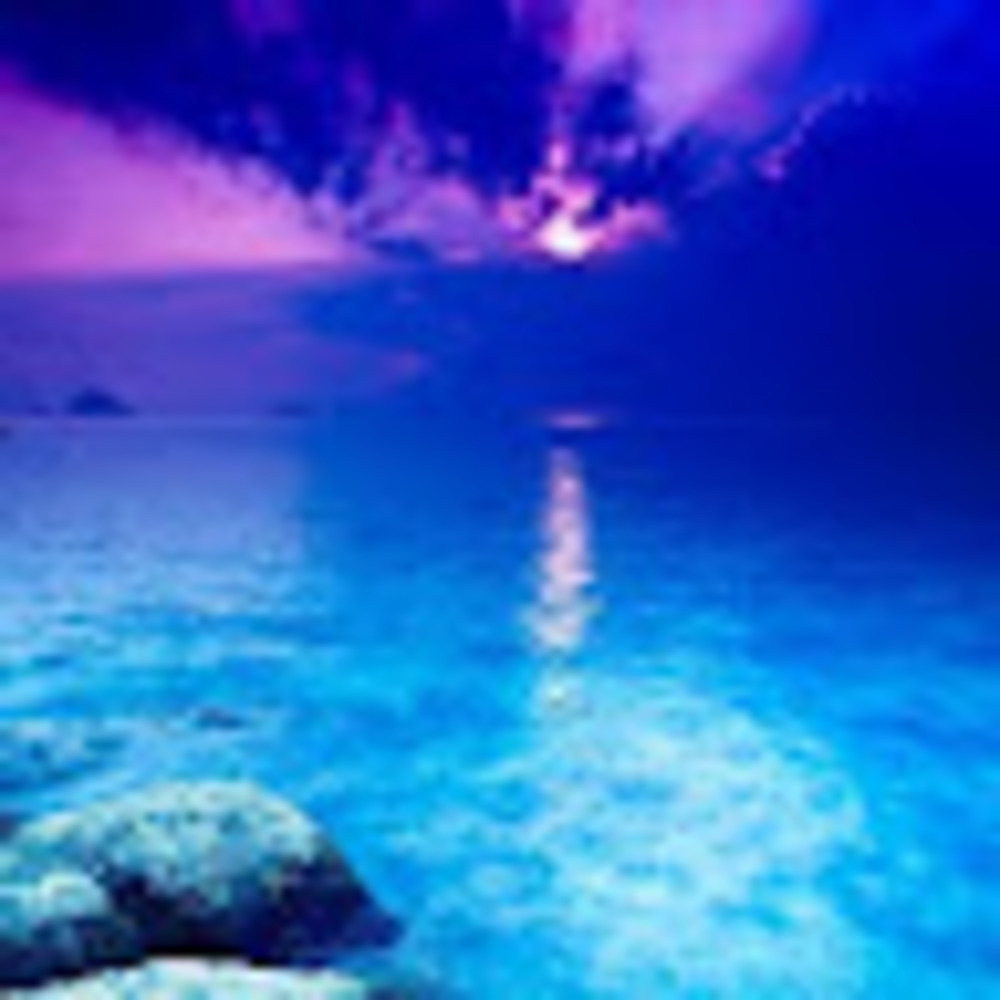 Meet your Posher, Annie